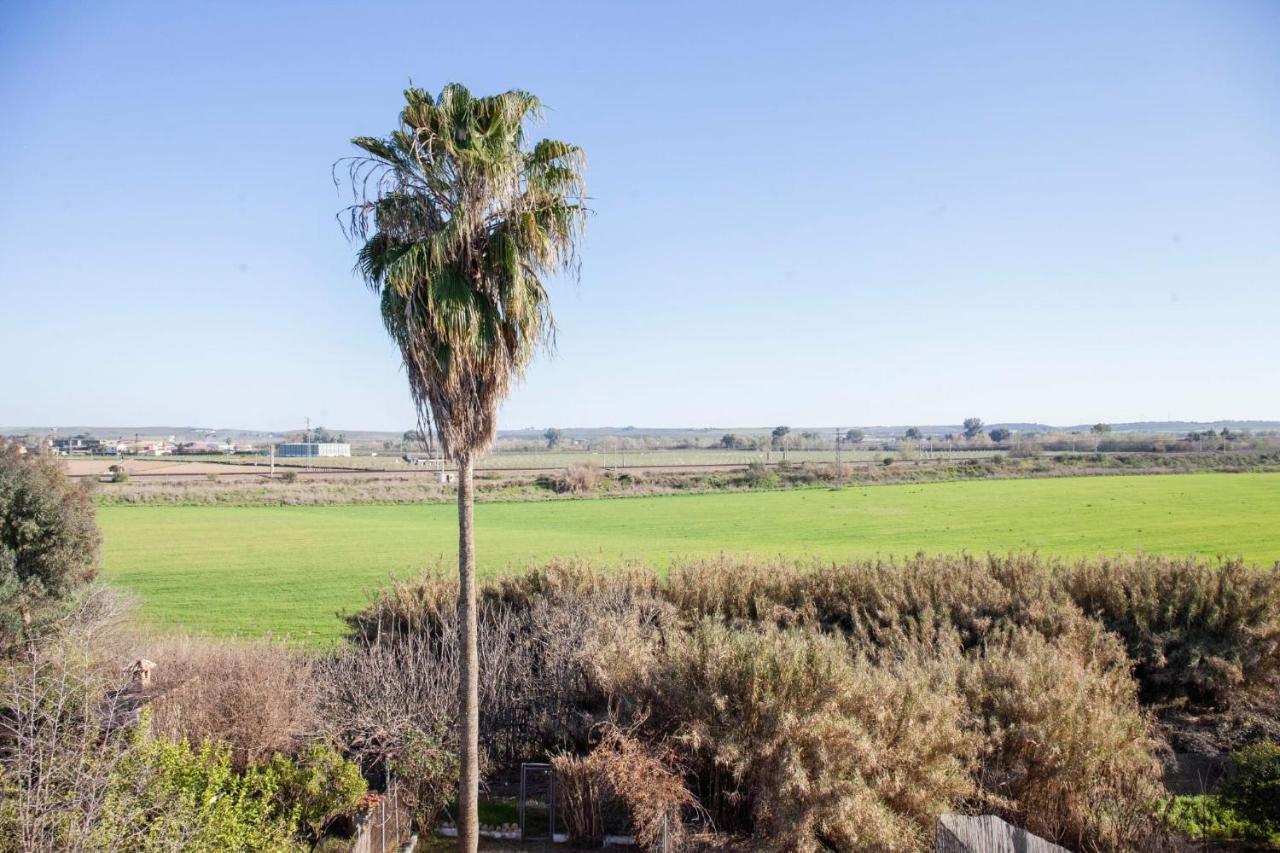 Casa Rural La Palmera Almodóvar del Río Esterno foto